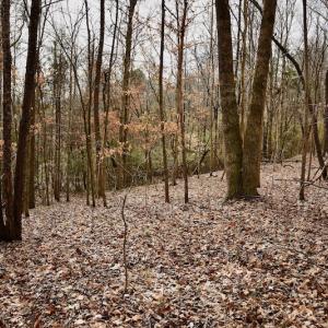 Photo #56 of SOLD property in Off Old Airport Road, Concord, NC 38.1 acres