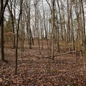Photo #57 of SOLD property in Off Old Airport Road, Concord, NC 38.1 acres
