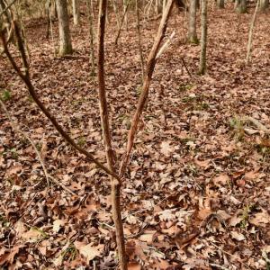 Photo #58 of SOLD property in Off Old Airport Road, Concord, NC 38.1 acres