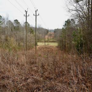 Photo #59 of SOLD property in Off Old Airport Road, Concord, NC 38.1 acres