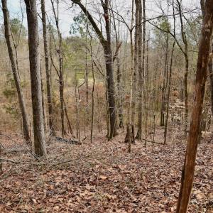Photo #62 of SOLD property in Off Old Airport Road, Concord, NC 38.1 acres