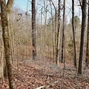 Photo #63 of SOLD property in Off Old Airport Road, Concord, NC 38.1 acres