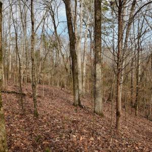 Photo #65 of SOLD property in Off Old Airport Road, Concord, NC 38.1 acres
