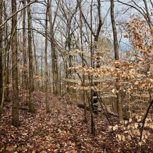Photo #67 of SOLD property in Off Old Airport Road, Concord, NC 38.1 acres