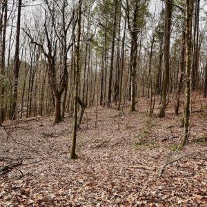 Photo #72 of SOLD property in Off Old Airport Road, Concord, NC 38.1 acres