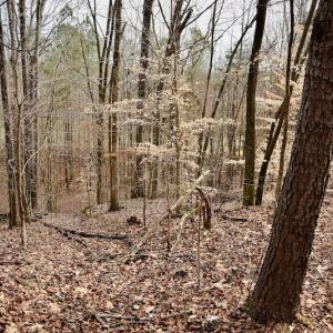 Photo #73 of SOLD property in Off Old Airport Road, Concord, NC 38.1 acres
