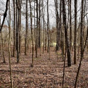 Photo #74 of SOLD property in Off Old Airport Road, Concord, NC 38.1 acres
