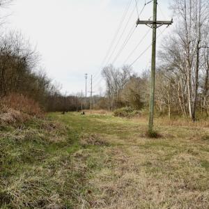 Photo #76 of SOLD property in Off Old Airport Road, Concord, NC 38.1 acres