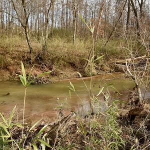 Photo #77 of SOLD property in Off Old Airport Road, Concord, NC 38.1 acres