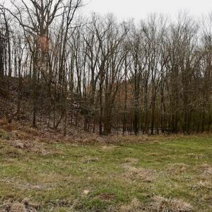 Photo #78 of SOLD property in Off Old Airport Road, Concord, NC 38.1 acres