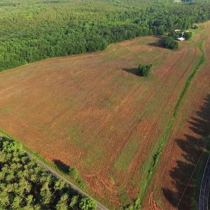 Photo #5 of SOLD property in 2920 & 2922 Robinson Bridge Rd, Morven, NC 126.3 acres
