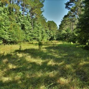 Photo #11 of SOLD property in 2920 & 2922 Robinson Bridge Rd, Morven, NC 126.3 acres