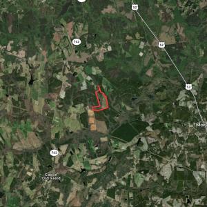 Photo #12 of SOLD property in 2920 & 2922 Robinson Bridge Rd, Morven, NC 126.3 acres