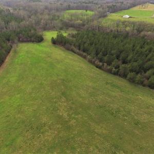 Photo #5 of SOLD property in 8300 Reed Mine Road, Midland, NC 66.1 acres