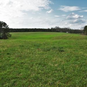 Photo #7 of SOLD property in 8300 Reed Mine Road, Midland, NC 66.1 acres