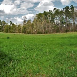 Photo #8 of SOLD property in 8300 Reed Mine Road, Midland, NC 66.1 acres