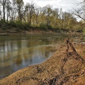 Photo #10 of SOLD property in 8300 Reed Mine Road, Midland, NC 66.1 acres