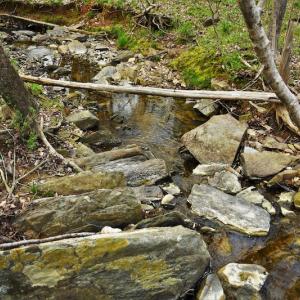 Photo #11 of SOLD property in 8300 Reed Mine Road, Midland, NC 66.1 acres