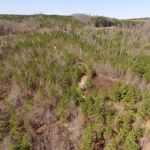 Photo #2 of SOLD property in Off Wyatt Grove Church Rd, Richfield, NC 27.3 acres