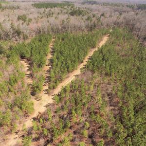 Photo #3 of SOLD property in Off Wyatt Grove Church Rd, Richfield, NC 27.3 acres