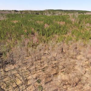 Photo #4 of SOLD property in Off Wyatt Grove Church Rd, Richfield, NC 27.3 acres