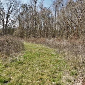 Photo #6 of SOLD property in Off Wyatt Grove Church Rd, Richfield, NC 27.3 acres