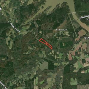 Photo #12 of SOLD property in Off Wyatt Grove Church Rd, Richfield, NC 27.3 acres