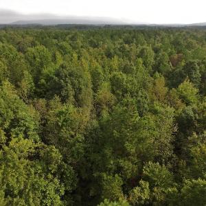 Photo #2 of SOLD property in Off Flat Creek Church Road, Richfield, NC 68.2 acres