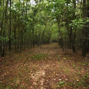 Photo #5 of SOLD property in Off Flat Creek Church Road, Richfield, NC 68.2 acres