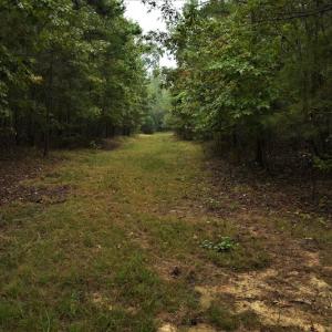 Photo #6 of SOLD property in Off Flat Creek Church Road, Richfield, NC 68.2 acres
