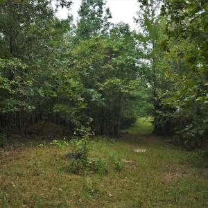 Photo #7 of SOLD property in Off Flat Creek Church Road, Richfield, NC 68.2 acres