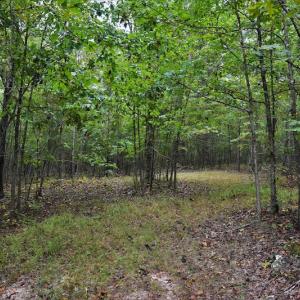 Photo #8 of SOLD property in Off Flat Creek Church Road, Richfield, NC 68.2 acres