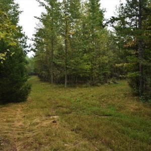 Photo #9 of SOLD property in Off Flat Creek Church Road, Richfield, NC 68.2 acres