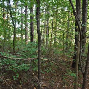 Photo #2 of SOLD property in Off Goodman Lake Road, Salisbury, NC 0.4 acres