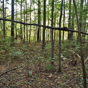 Photo #5 of SOLD property in Off Goodman Lake Road, Salisbury, NC 0.4 acres