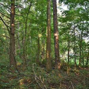 Photo #6 of SOLD property in Off Goodman Lake Road, Salisbury, NC 0.4 acres