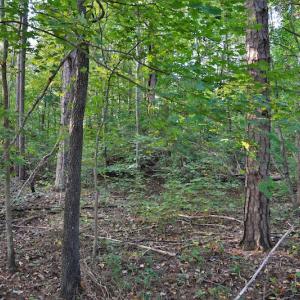 Photo #8 of SOLD property in Off Goodman Lake Road, Salisbury, NC 0.4 acres