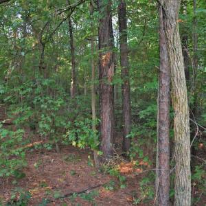 Photo #10 of SOLD property in Off Goodman Lake Road, Salisbury, NC 0.4 acres