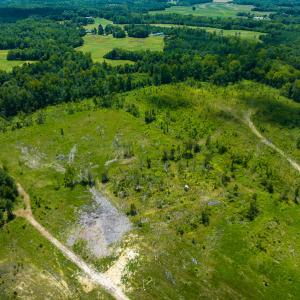 Photo #7 of Off NC Hwy 62 N, Burlington, NC 35.8 acres