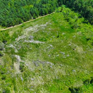 Photo #8 of Off NC Hwy 62 N, Burlington, NC 35.8 acres