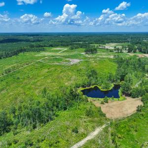 Photo #17 of Off NC Hwy 62 N, Burlington, NC 35.8 acres