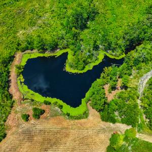 Photo #24 of Off NC Hwy 62 N, Burlington, NC 35.8 acres