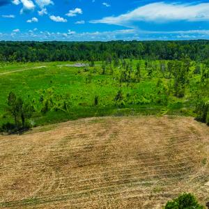 Photo #26 of Off NC Hwy 62 N, Burlington, NC 35.8 acres