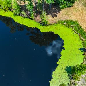 Photo #30 of Off NC Hwy 62 N, Burlington, NC 35.8 acres