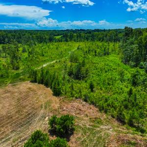 Photo #34 of Off NC Hwy 62 N, Burlington, NC 35.8 acres
