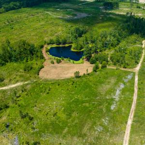 Photo #38 of Off NC Hwy 62 N, Burlington, NC 35.8 acres