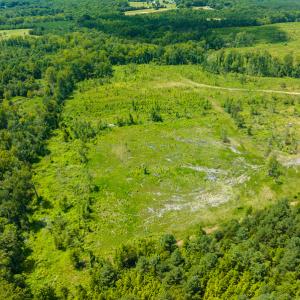 Photo #39 of Off NC Hwy 62 N, Burlington, NC 35.8 acres