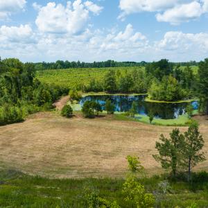 Photo #40 of Off NC Hwy 62 N, Burlington, NC 35.8 acres