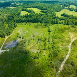 Photo #44 of Off NC Hwy 62 N, Burlington, NC 35.8 acres