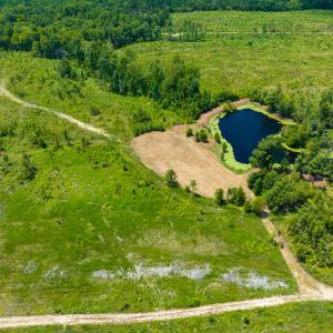 Photo #45 of Off NC Hwy 62 N, Burlington, NC 35.8 acres